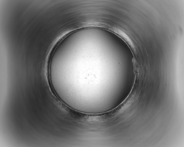 X0000096971043200802221358