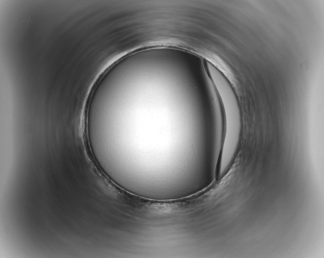 X0000096971044200802221358