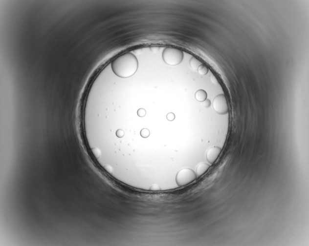 X0000096971045200802221358