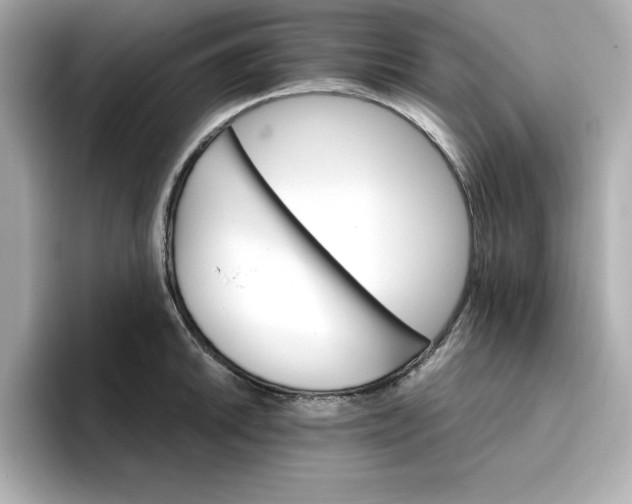 X0000096971046200802221358