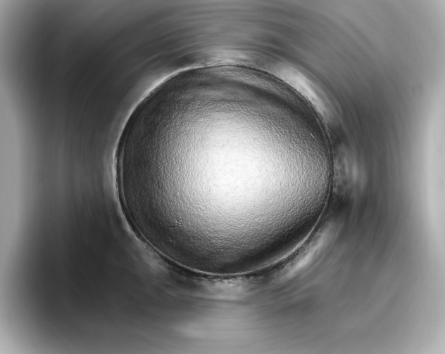 X0000096971047200802221358