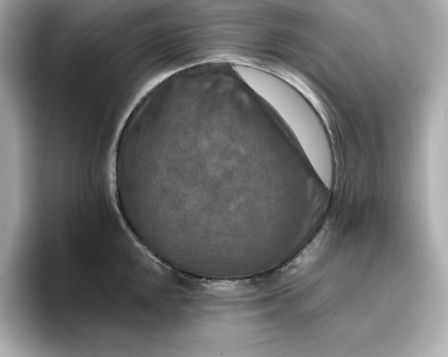 X0000096971048200802221358