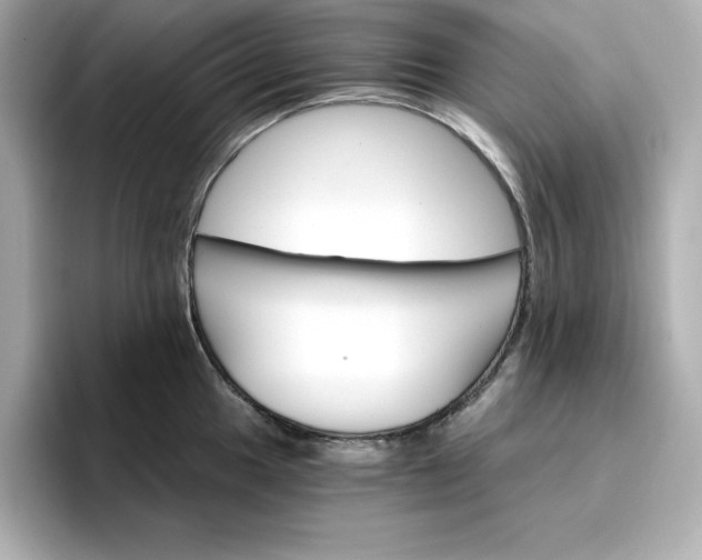 X0000096971049200802221358