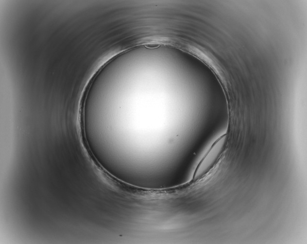 X0000096971050200802221358