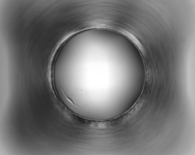 X0000096971051200802221358