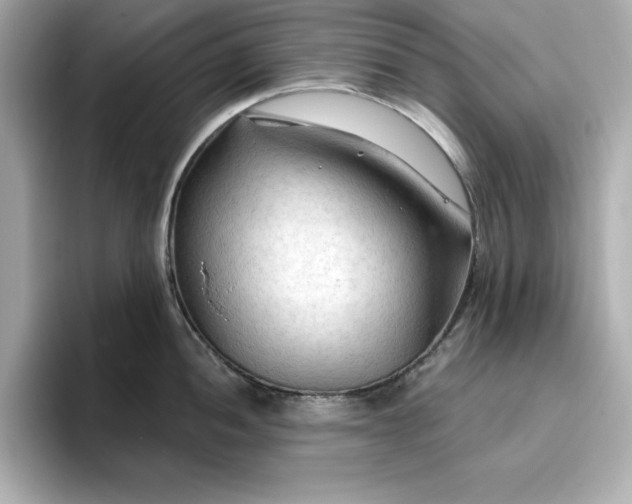 X0000096971052200802221358