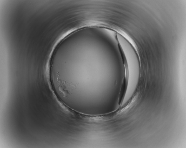 X0000096971053200802221358