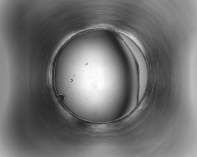 X0000096971054200802221358