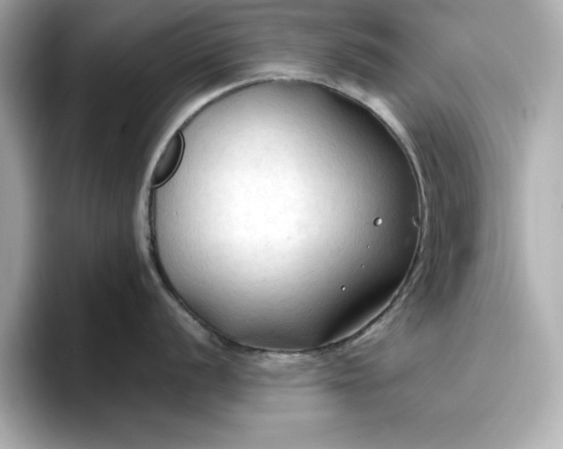 X0000096971056200802221358