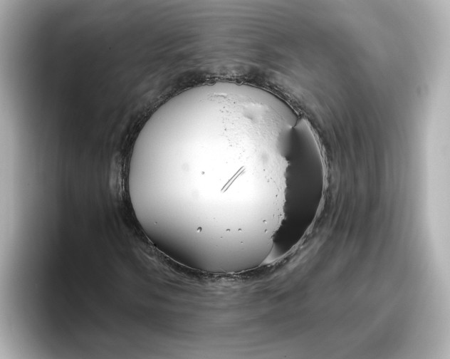 X0000096971058200802221358