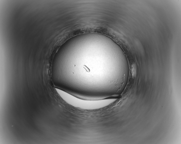 X0000096971059200802221358