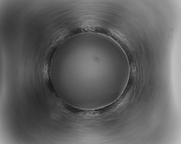 X0000096971060200802221358