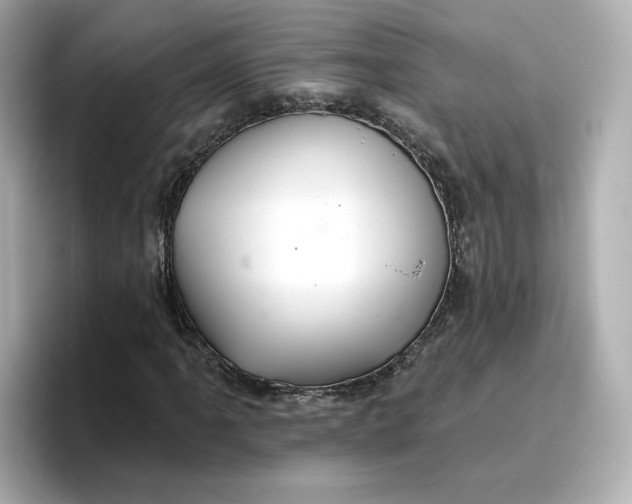 X0000096971061200802221358