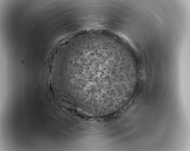 X0000096971063200802221358