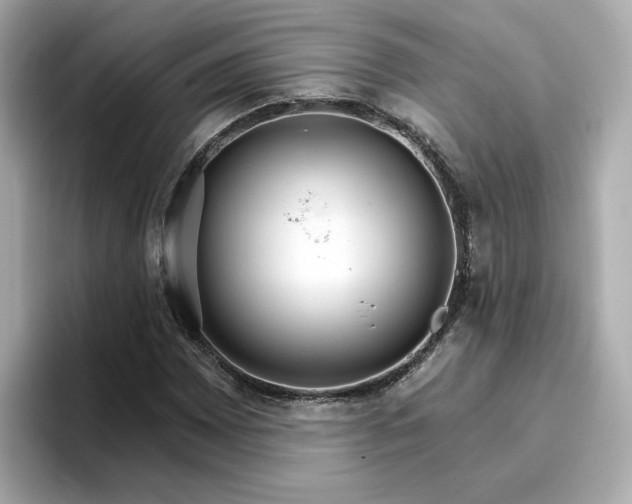 X0000096971065200802221358