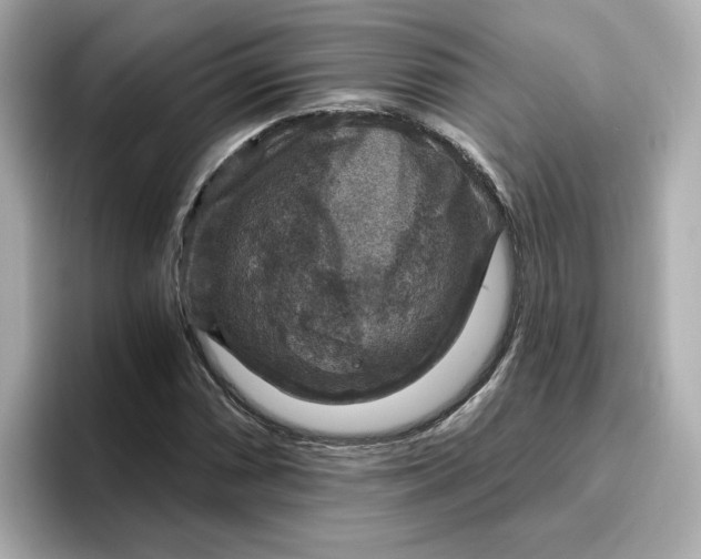 X0000096971066200802221357