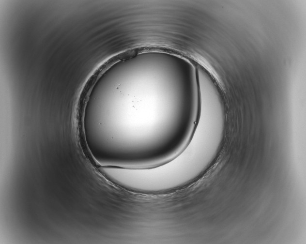 X0000096971068200802221357