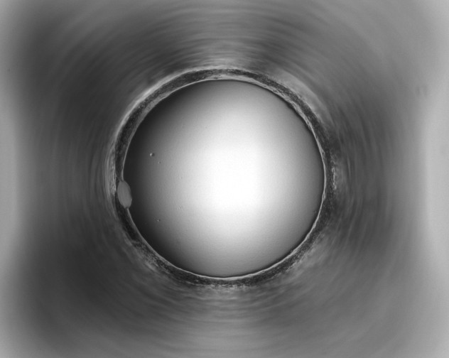 X0000096971069200802221357