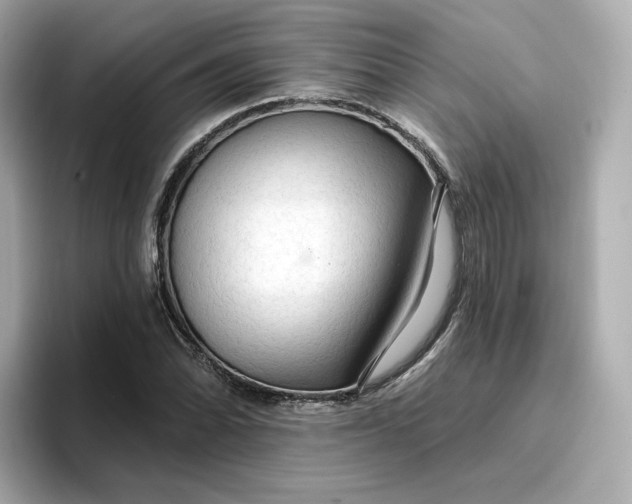 X0000096971070200802221357