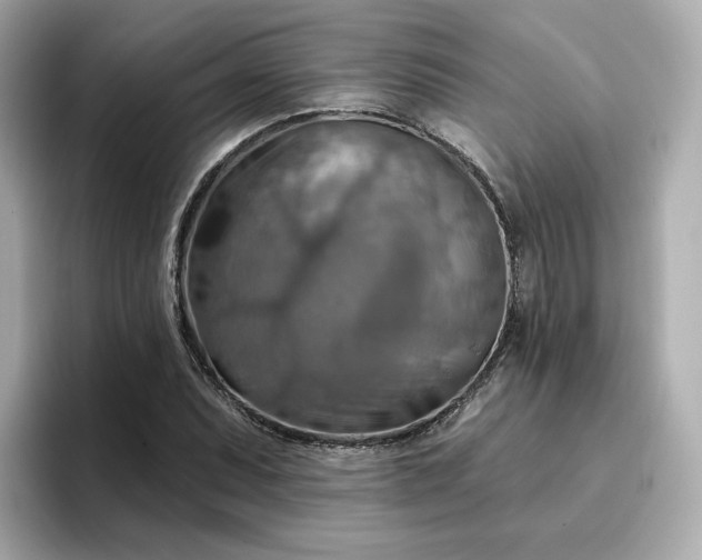 X0000096971071200802221357