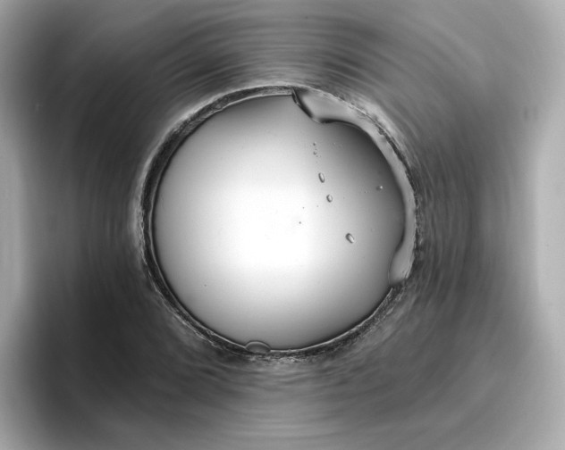 X0000096971072200802221357