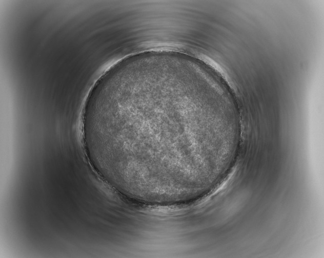 X0000096971074200802221357