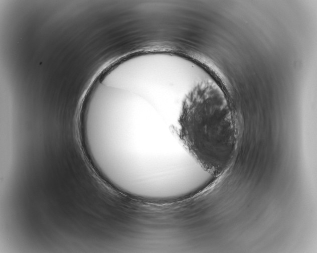 X0000096971075200802221357