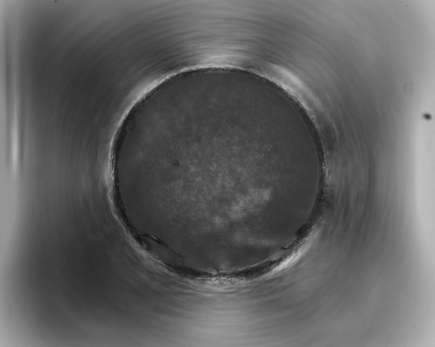 X0000096971077200802221357