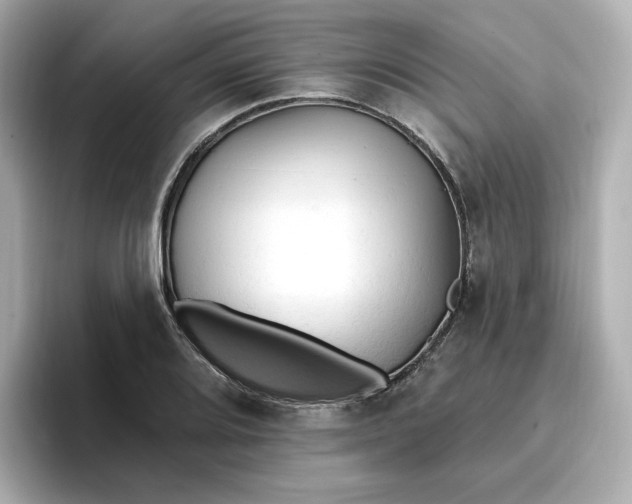 X0000096971080200802221357