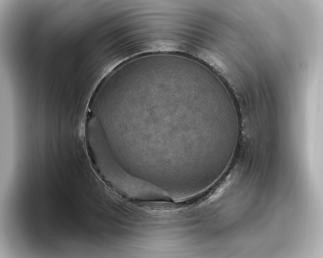 X0000096971081200802221357