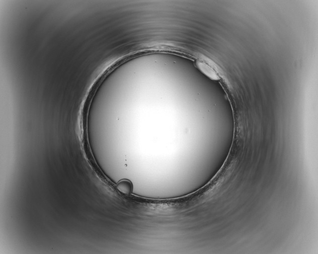 X0000096971082200802221357