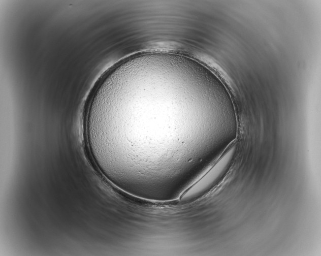 X0000096971083200802221357