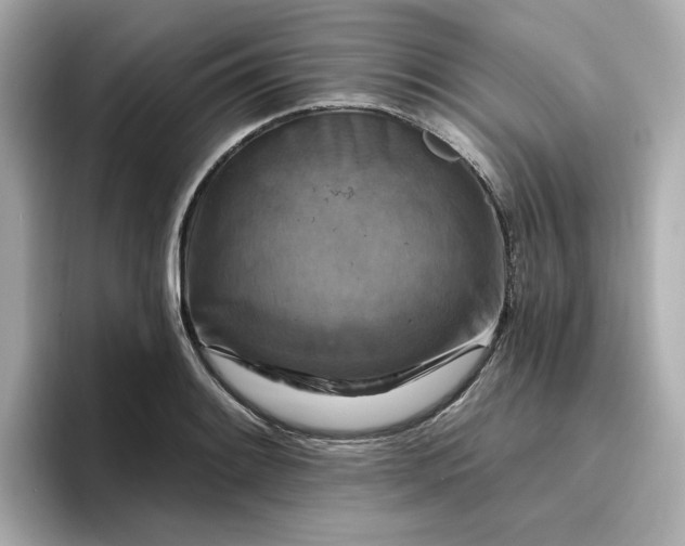 X0000096971084200802221357