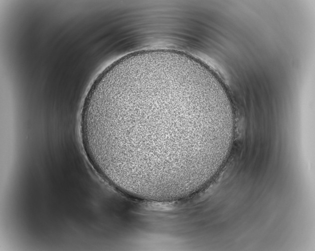 X0000096971086200802221357