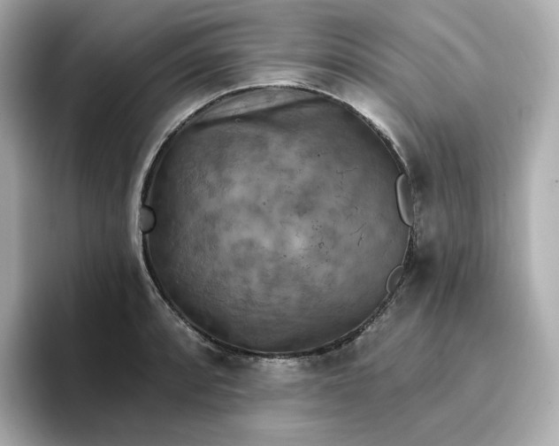 X0000096971088200802221357