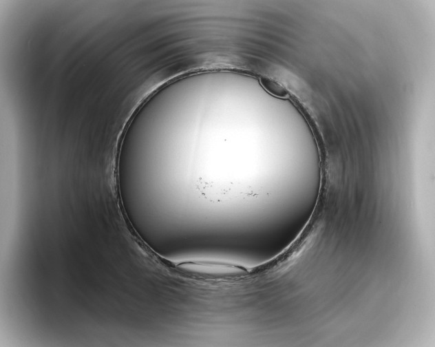 X0000096971089200802221357