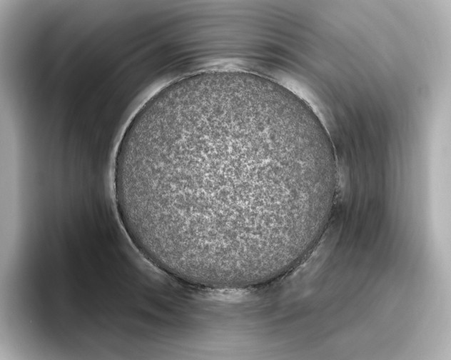 X0000096971090200802221357