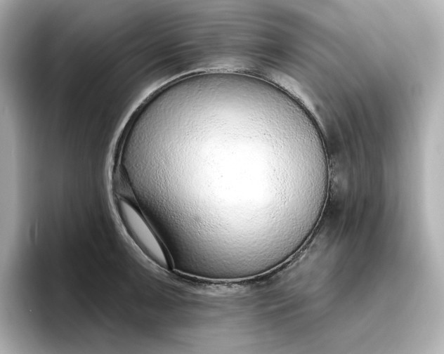 X0000096971091200802221357