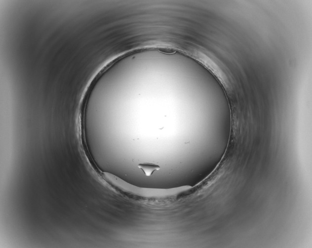 X0000096971092200802221357