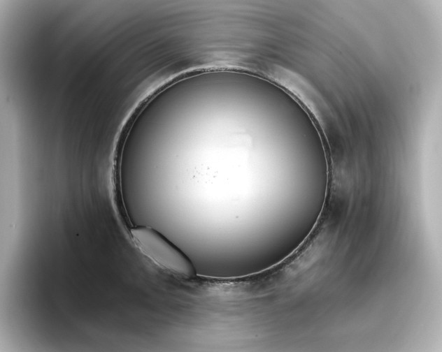 X0000096971093200802221357