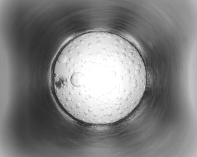 X0000096971095200802221357