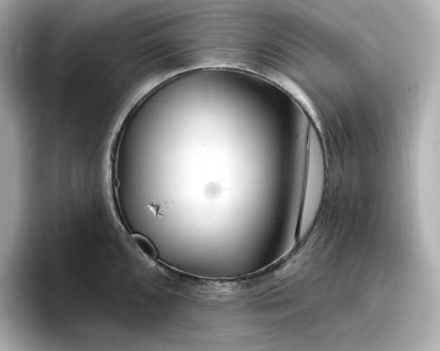 X0000096971096200802221357