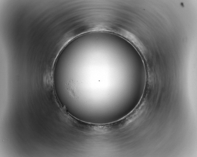 X0000096971097200802221357