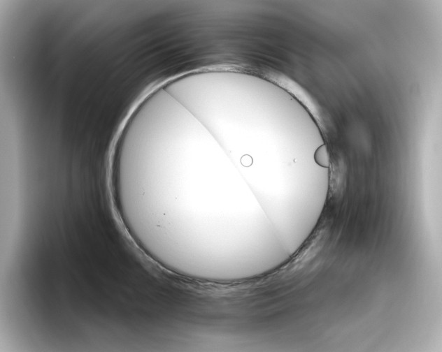 X0000096971099200802221357