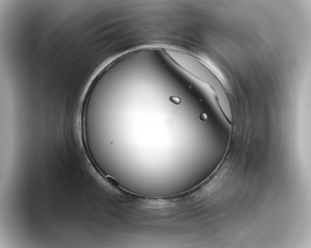 X0000096971100200802221357