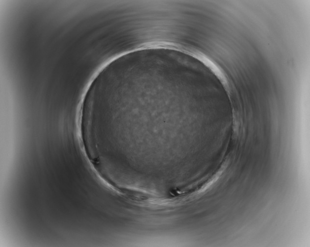 X0000096971102200802221357