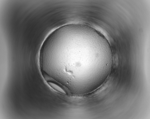 X0000096971103200802221357