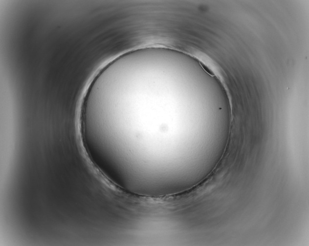 X0000096971104200802221357