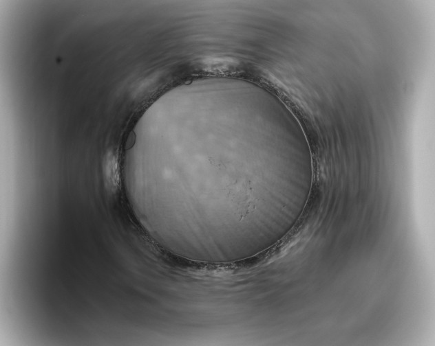 X0000096971106200802221356