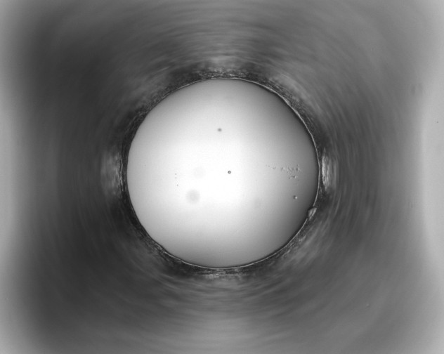 X0000096971107200802221356